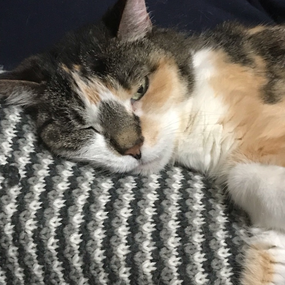 Meet your Posher, Lisa